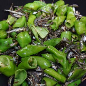 控え目でも呑む。日本酒 高知 酒屋