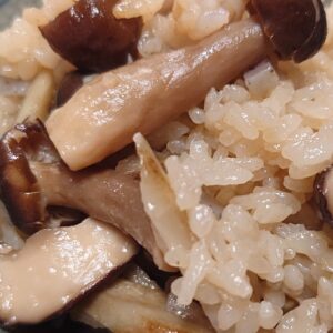 納得するまでやる。日本酒 高知 酒屋