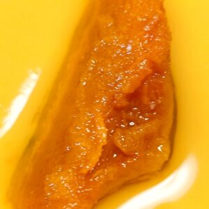 秋はカボチャ✨日本酒 高知 酒屋