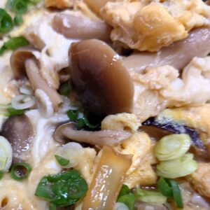 あたまがいい！日本酒 高知 酒屋