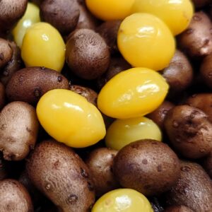 花金ムカギン！日本酒 高知 酒屋