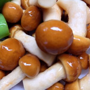 にゅるにゅるしてる！日本酒 高知 酒屋