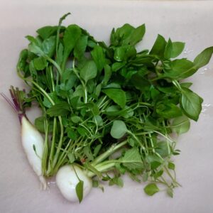 正月気分を取っ払い！日本酒 高知 酒屋