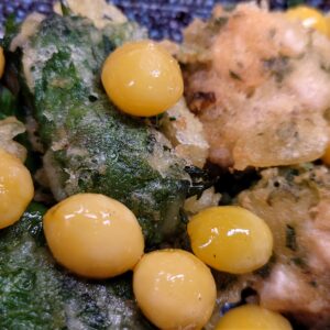 ついてる！ついてる！！日本酒 高知 酒屋