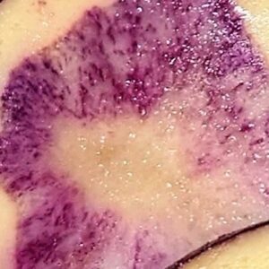 里の野菜も磨け✨日本酒 高知 酒屋