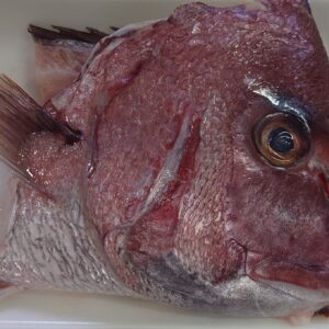 頭ぁ～！日本酒 高知 酒屋