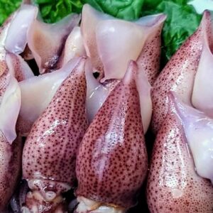 海、光る✨日本酒 高知 酒屋