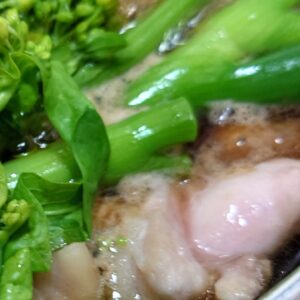 ちゃんと「花冷え」🥶日本酒 高知 酒屋