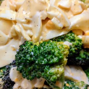 好きこそ♪日本酒 高知 酒屋