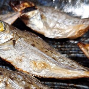 たまぁるか呑める！日本酒 高知 酒屋