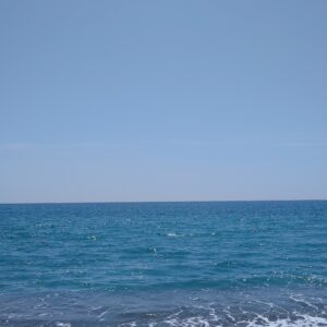 酒国土佐に夏が来た🌺日本酒 高知 酒屋