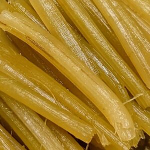 自生しちゅうぜよ🌱日本酒 高知 酒屋