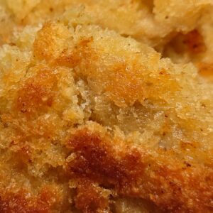 夏の茶色🌟日本酒 高知 酒屋