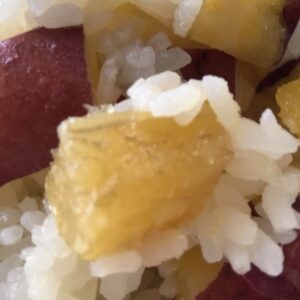 真打登場！？日本酒 高知 酒屋