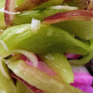 土佐リュウキュウ？日本酒 高知 酒屋