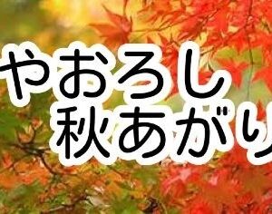 土佐の秋酒ぜよ🍶日本酒 高知 酒屋