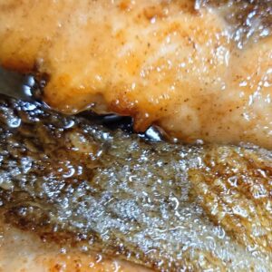 皮と身の間って！日本酒 高知 酒屋