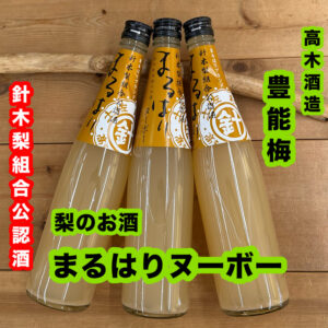 ✨高知特産✨日本酒 高知 酒屋