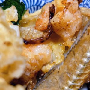 沸かしてドボン🔥日本酒 高知 酒屋