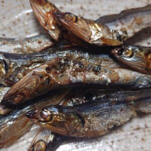 ホタレ💕日本酒 高知 酒屋