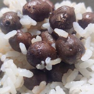 ムフフなご飯🍚日本酒 高知 酒屋