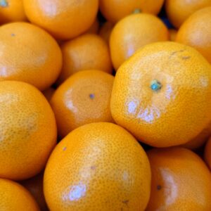 御礼かねがね✨日本酒 高知 酒屋