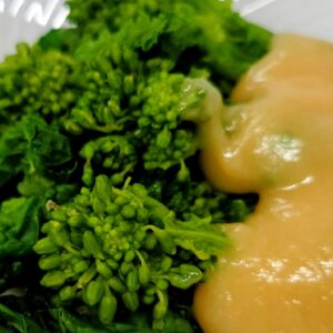 さきどり？日本酒 高知 酒屋