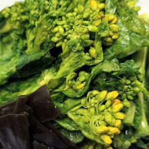 あらっ？日本酒 高知 酒屋