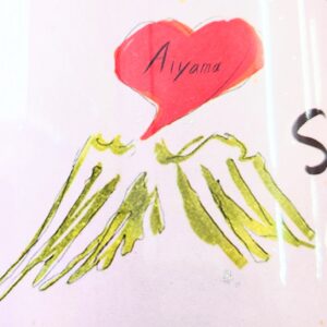 Diamond Shiragiku Tosa ✨ 日本酒 高知 酒屋