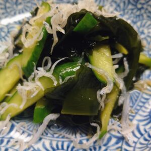 若いぜよ？日本酒 高知 酒屋