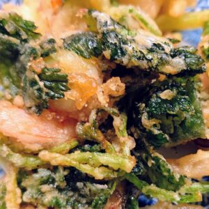 ザクザク✨日本酒 高知 酒屋